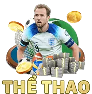 Đá gà Mỹ tốc độ cao